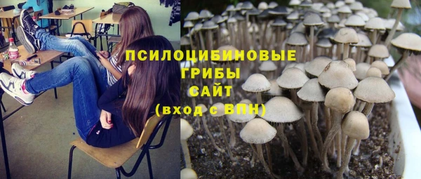 каннабис Слюдянка