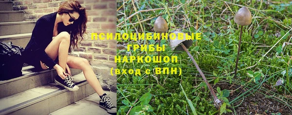 mix Снежинск