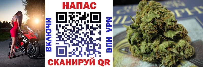 Купить  Данилов  Марихуана сатива 